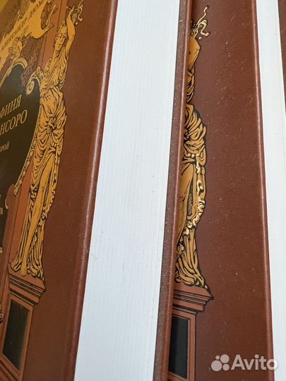 Графиня де монсоро