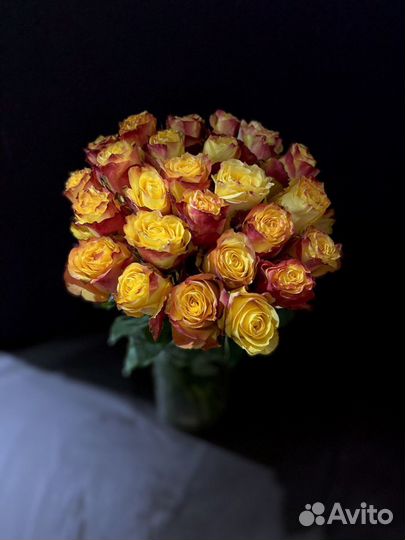 Роза Эквадор 60 см