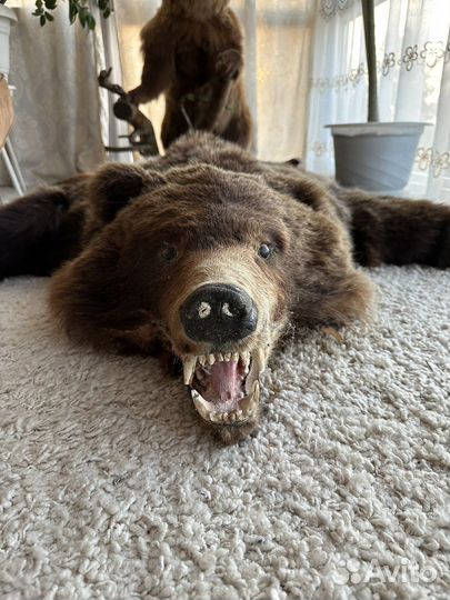 Шкура медведя имитация