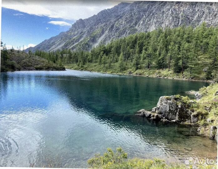 Турпутевка летом на Алтай программы 4-7 дн