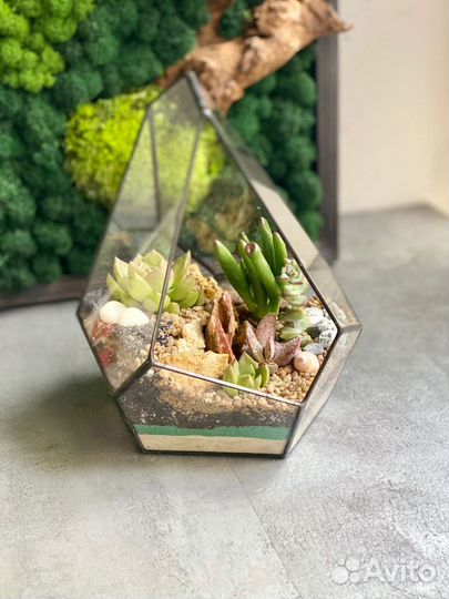 Флорариум Каньон