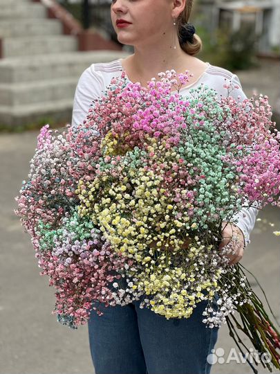 Букеты цветной гипсофилы