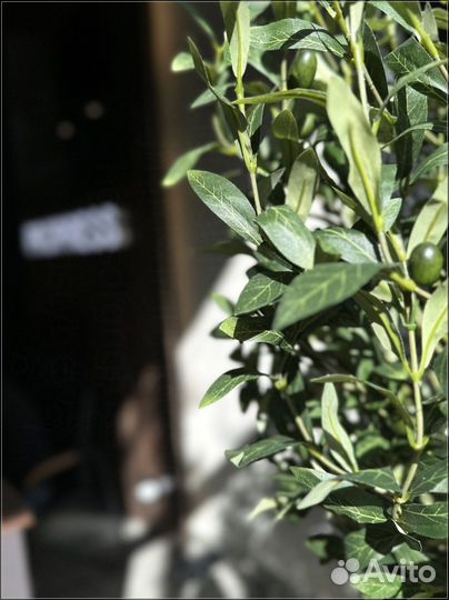 Тротуарная плитка Новый город