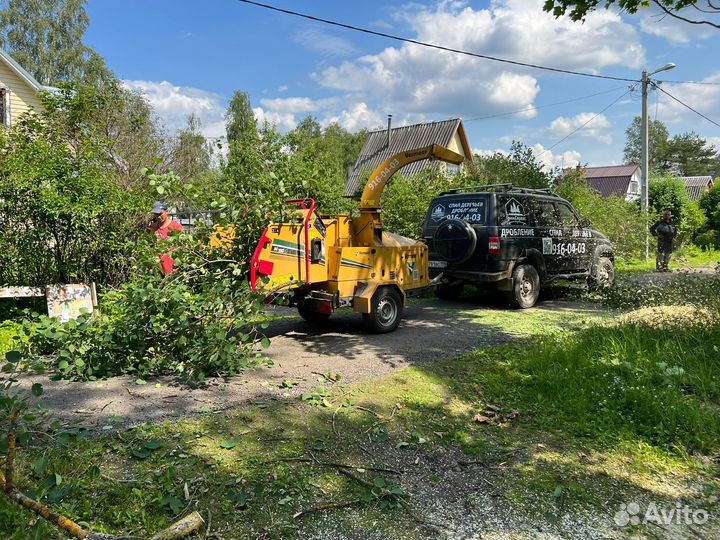 Расчистка участка, спил деревьев, дробление пней