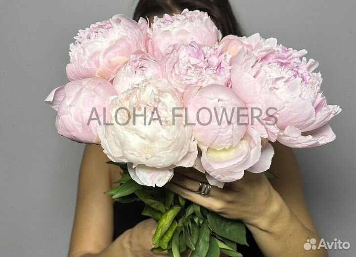 Пионы доставка цветов