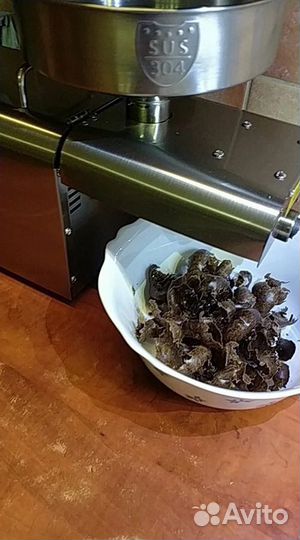 Маслопресс для холодного отжима электрический