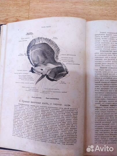 Антикварная медицинская книга