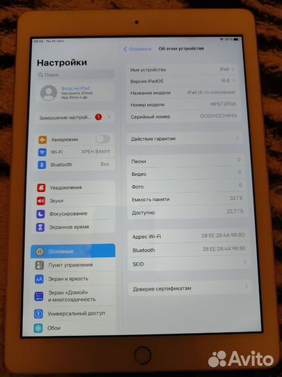 iPad Wi-Fi 32 Gb Gold