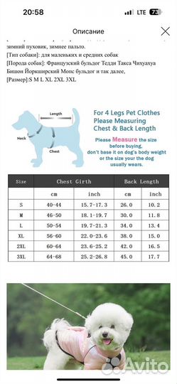 Собачьи вещи