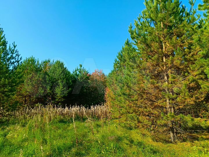 Участок 100 сот. (СНТ, ДНП)