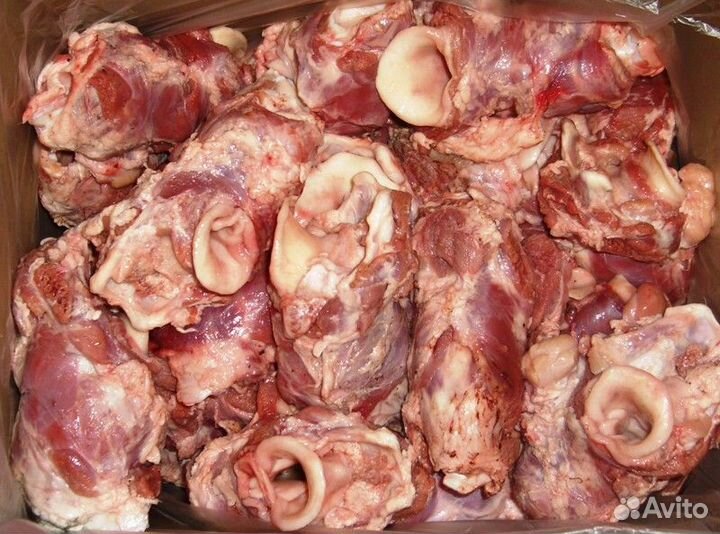 Мясо для животных