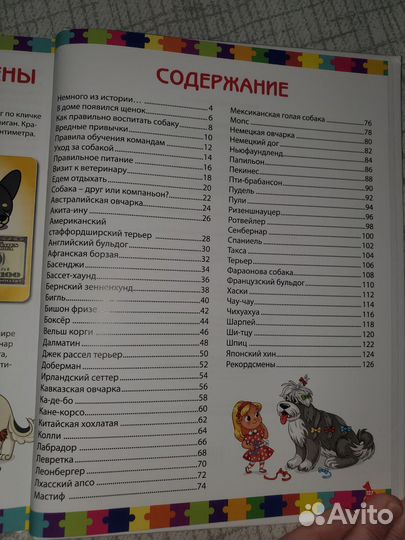 Детская энциклопедия. Собаки