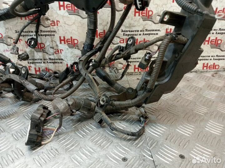 Проводка двс Toyota Rav4 ACA30 2adftv 2008