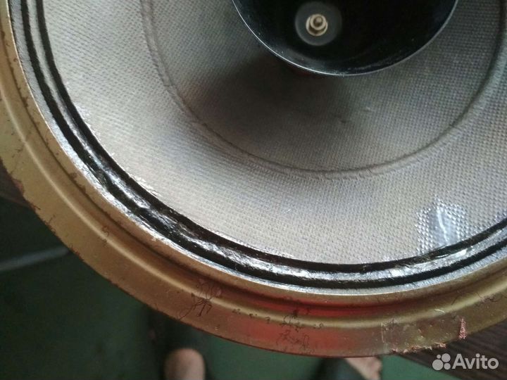 Динамики philips