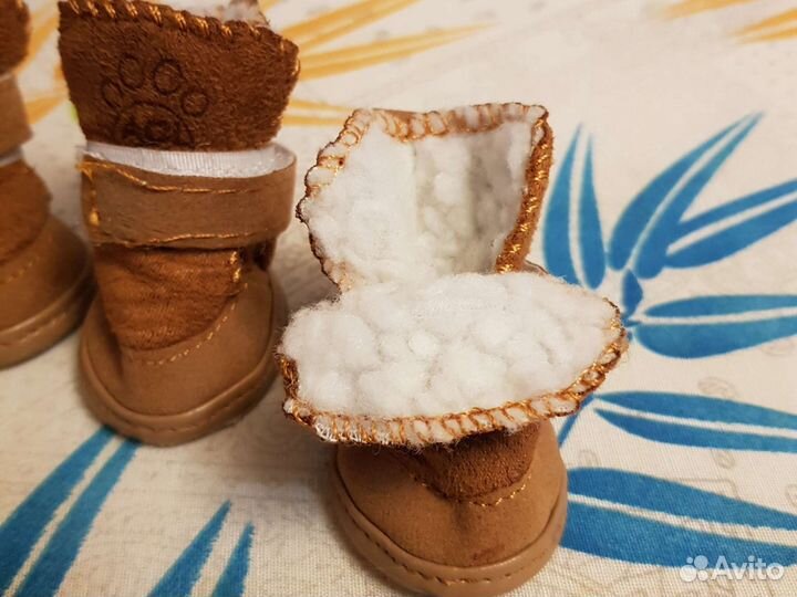 Обувь для маленьких собак