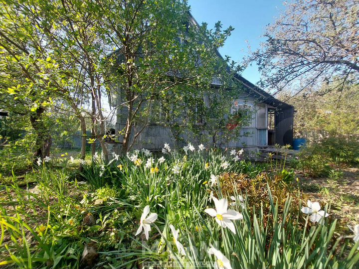 Дача 53 м² на участке 10 сот.