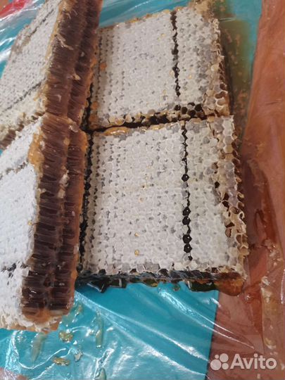 Мёд в сотах