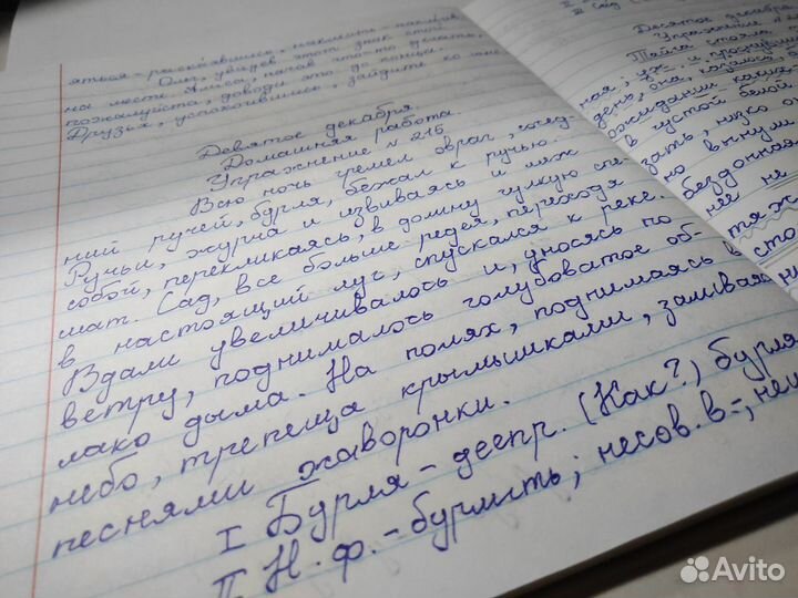 Сочинение, эссе, статья на заказ