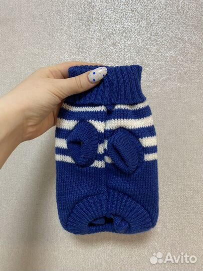 Одежда для животных