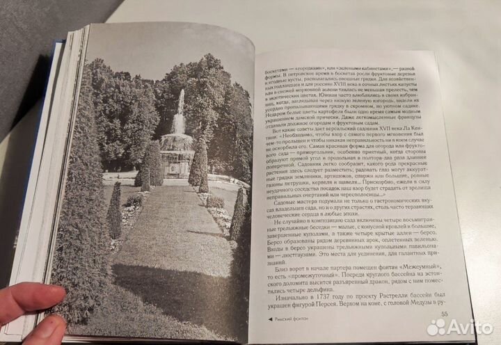 Е. В. Петрушина 