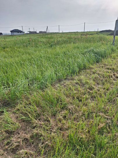 Участок 6,3 сот. (ИЖС)