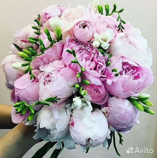 Пионы Букет пионов