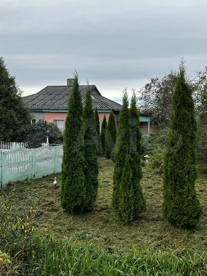 Дом 63,7 м² на участке 10 сот.