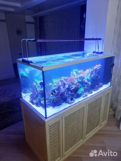 Изготовление аквариумов