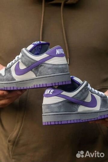 Кроссовки Nike SB Dunk Low Pro Purple Pigeon lux