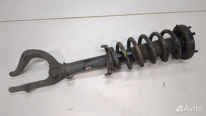 Амортизатор подвески Honda Accord 8, 2012