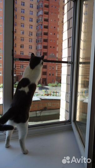 Москитные сетки