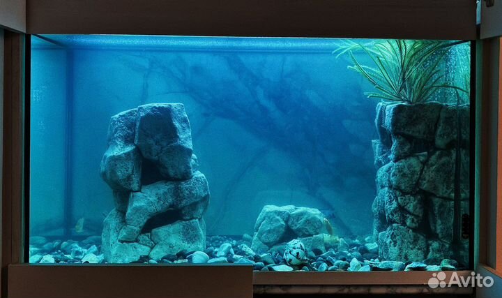 Чистка аквариума