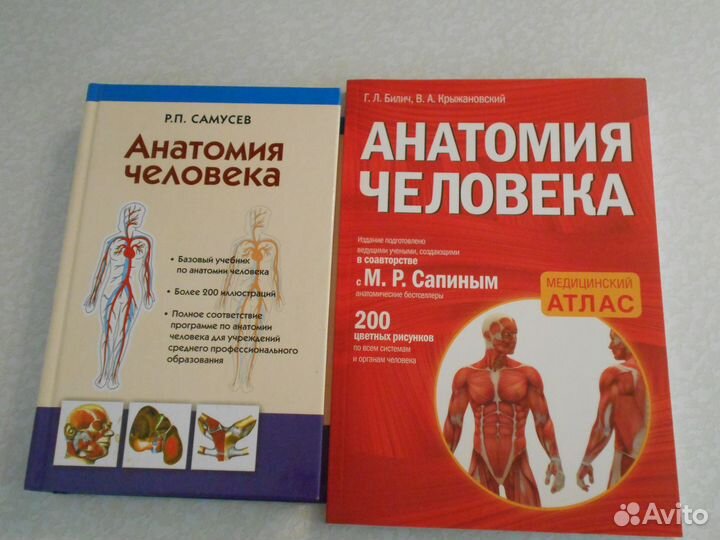 Г.Л.Билич, В.А.Крыжановский Анатомия человека