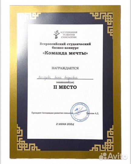 Китайский язык