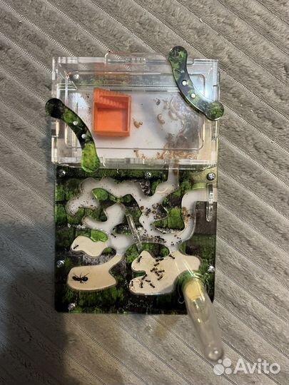 Муравьиная ферма без муравьев