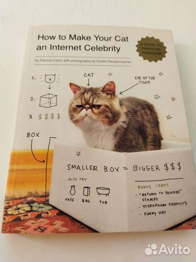 How to make your Cat an internet Celebrity
