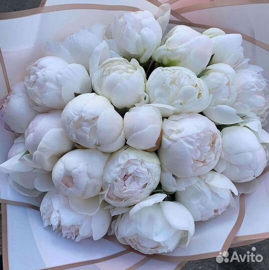 Пионы Цветы Доставка