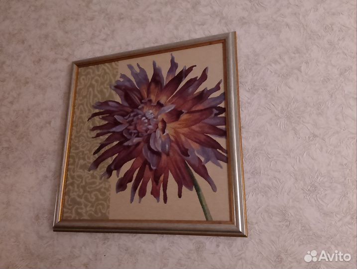 Помогу найти квартиру на сутки или дольше