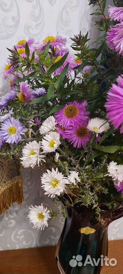 Разные многолетники для сада