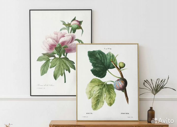 Постеры А4, 2 штуки