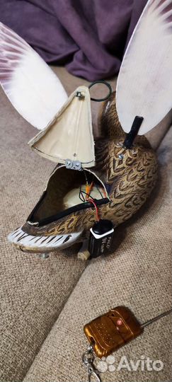 Махокрыл чучело