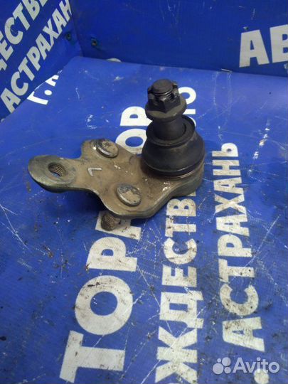 Шаровая опора нижняя. Toyota Alphard минивен