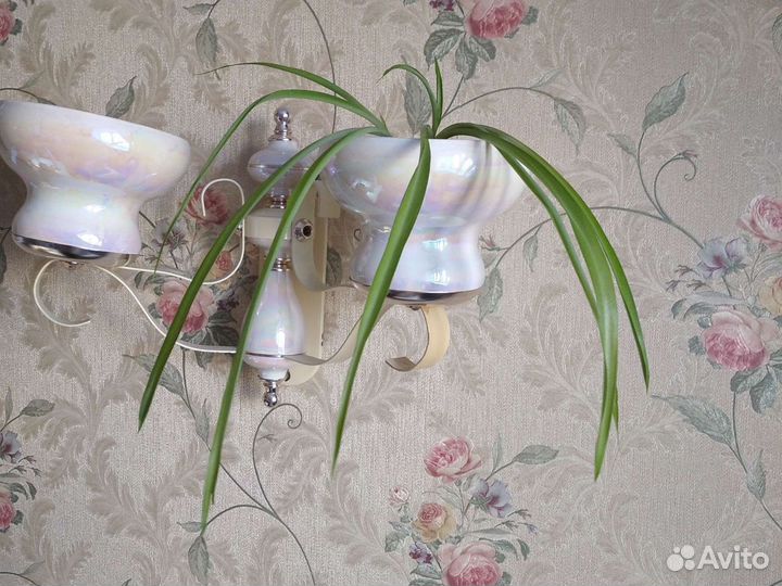 Цветы в горшках