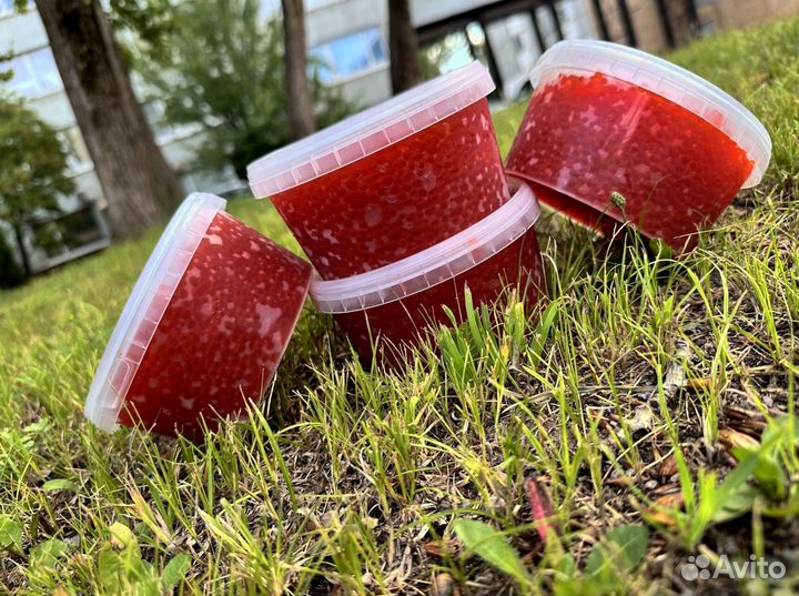 Икра нерки 2023г