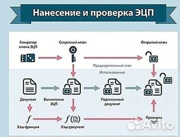 Эцп ЕГАИС честный знак настройка рабочего места