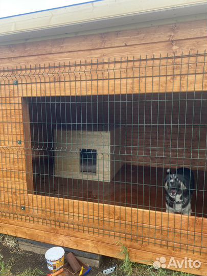 Вольер для собаки