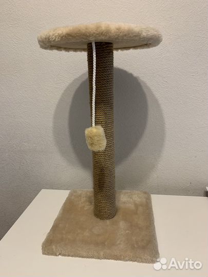 Когтеточка для кошек