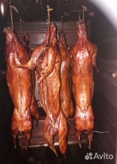 Коптильня 4 в 1