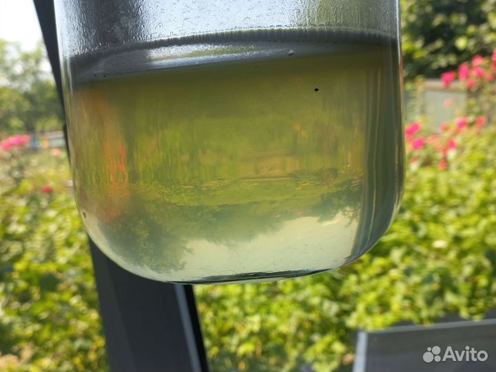 Каштановый, акация, разнотравие опт, розница