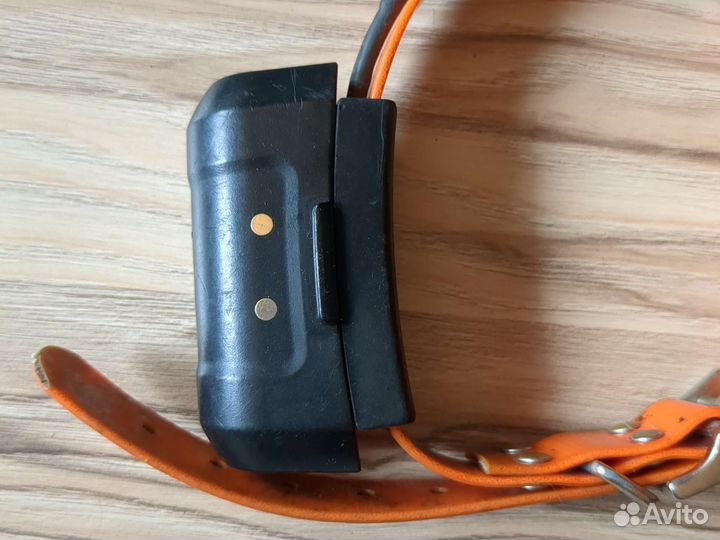 Garmin astro 220 с ошейником DC-40
